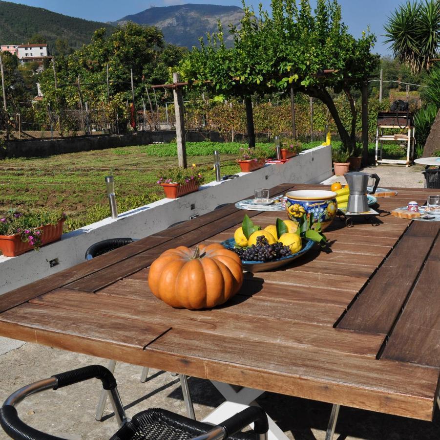Contrada Vigna Bed and Breakfast Vietri Buitenkant foto